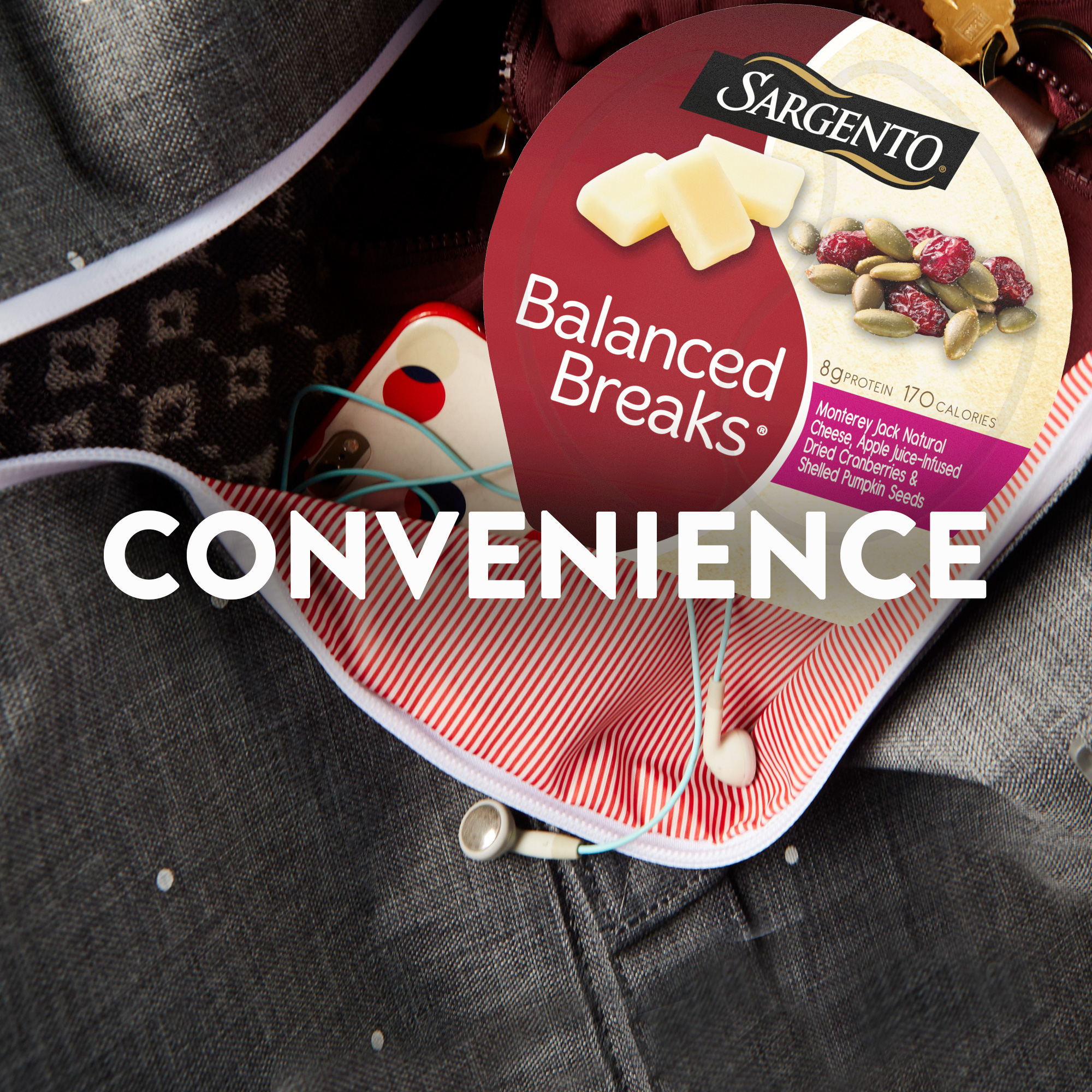 Sargento® Balanced Breaks®, Monterey Jack Natural Cheese, Apple Juice-Infused Dried Cranberries and Shelled Pumpkin Seeds
