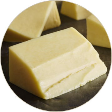 Monterey Jack Cheese