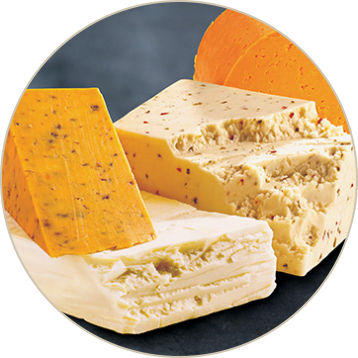 4 Cheese Southwest Blocks